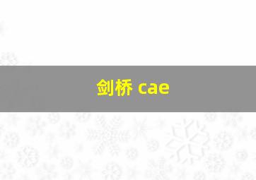 剑桥 cae